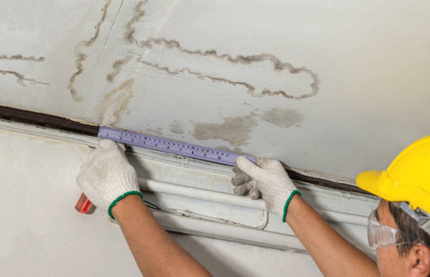 24/7 Emergency Structural Drying experts in Alexandria, VA